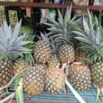 pinya